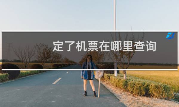 定了机票在哪里查询