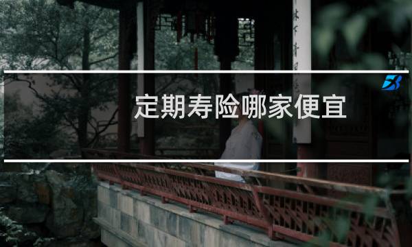 定期寿险哪家便宜