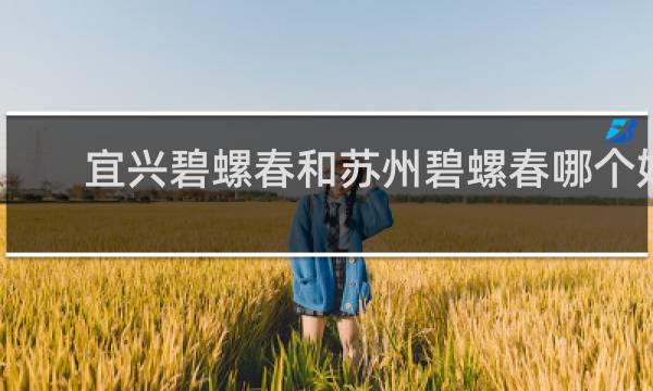 宜兴碧螺春和苏州碧螺春哪个好