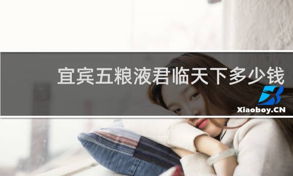 宜宾五粮液君临天下多少钱