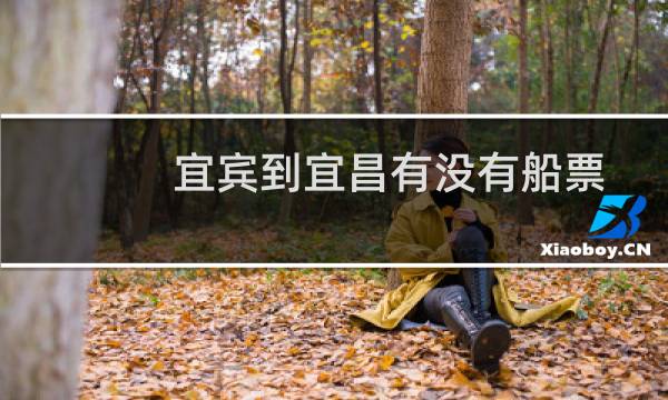 宜宾到宜昌有没有船票
