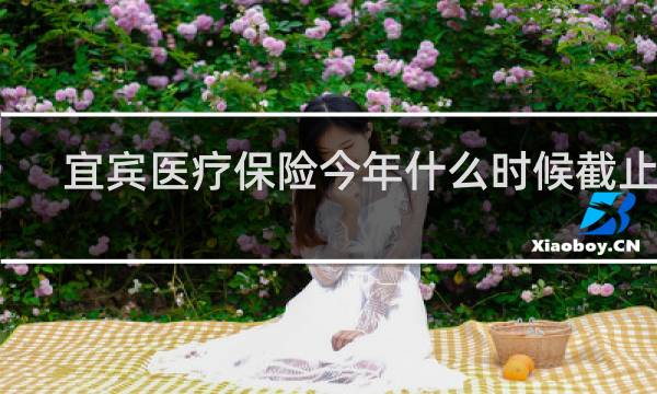 宜宾医疗保险今年什么时候截止交