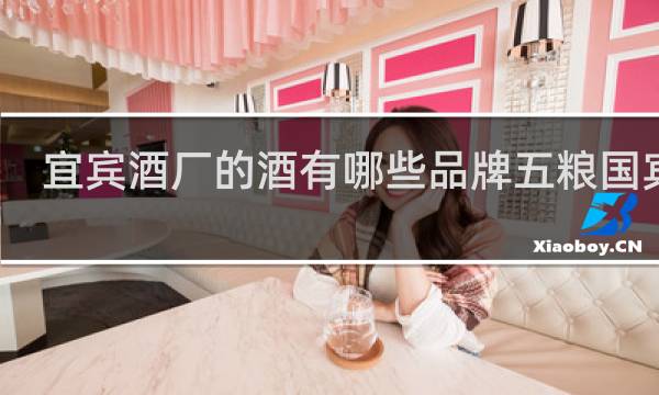 宜宾酒厂的酒有哪些品牌五粮国宾酒