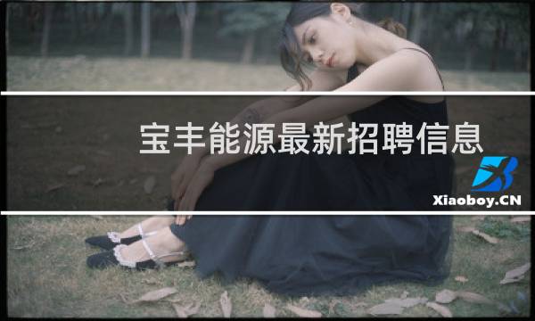 宝丰能源最新招聘信息