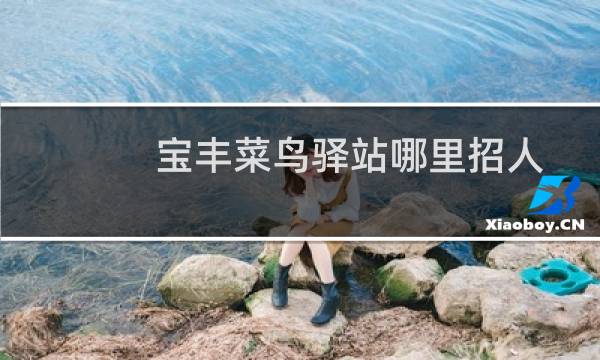 宝丰菜鸟驿站哪里招人