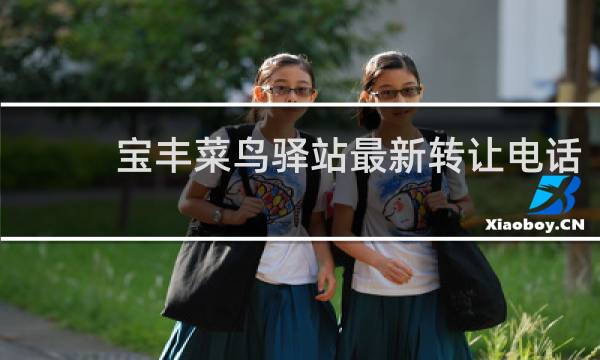 宝丰菜鸟驿站最新转让电话