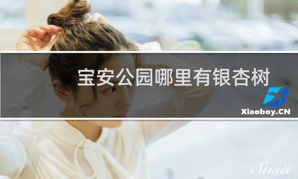 宝安公园哪里有银杏树