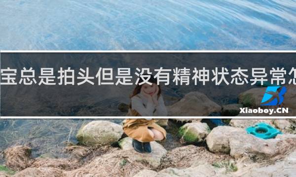宝宝总是拍头但是没有精神状态异常怎么回事