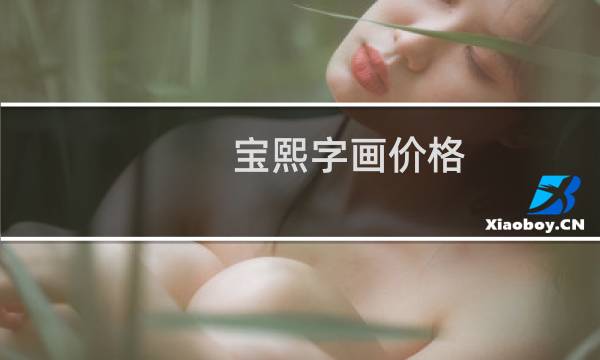 宝熙字画价格