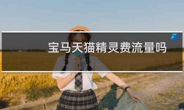 宝马天猫精灵费流量吗