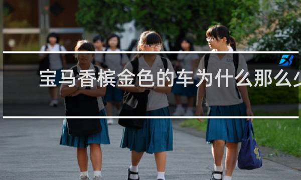宝马香槟金色的车为什么那么少
