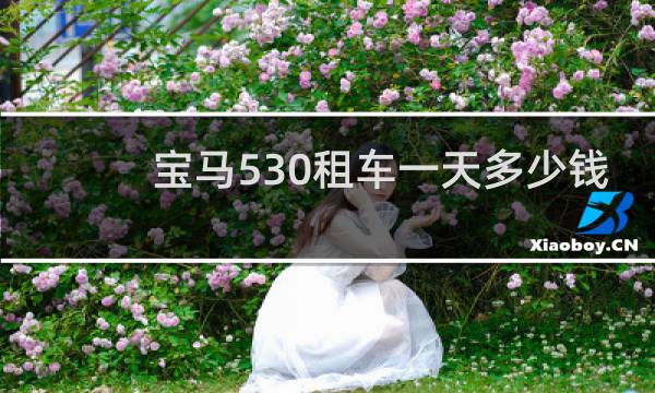 宝马530租车一天多少钱