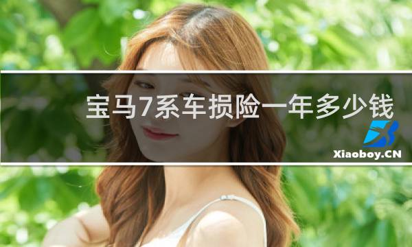 宝马7系车损险一年多少钱