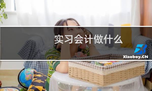 实习会计做什么