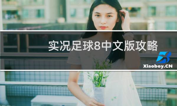 实况足球8中文版攻略
