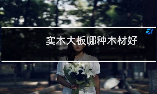 实木大板哪种木材好