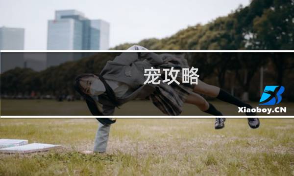 宠攻略