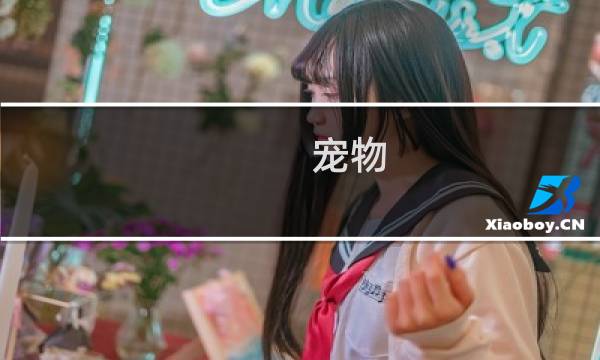 宠物 传说攻略