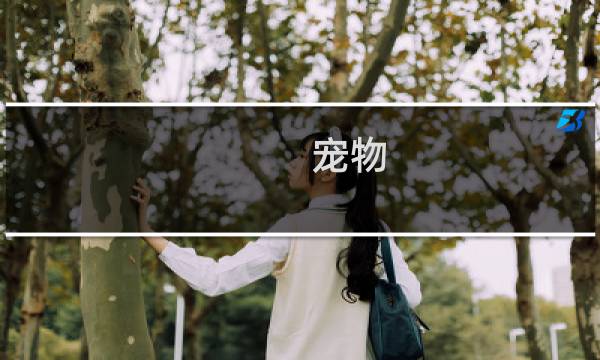 宠物 大赛攻略