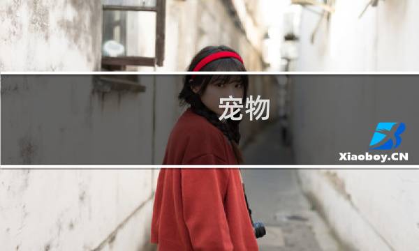 宠物 阿里 攻略