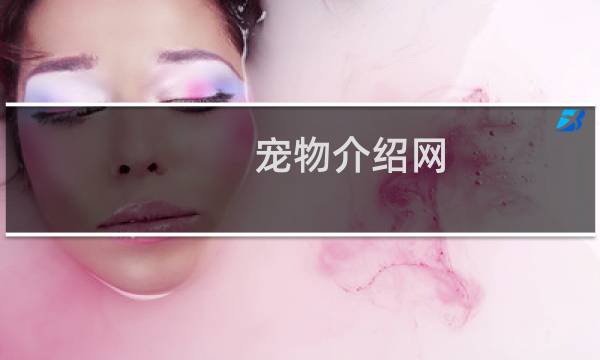 宠物介绍网