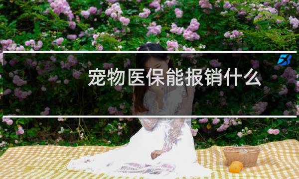 宠物医保能报销什么