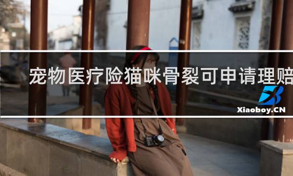 宠物医疗险猫咪骨裂可申请理赔吗