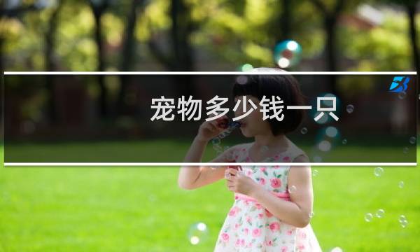 宠物多少钱一只