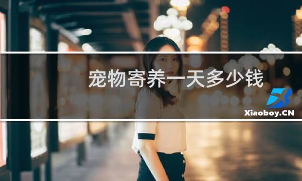 宠物寄养一天多少钱