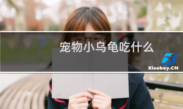 宠物小乌龟吃什么