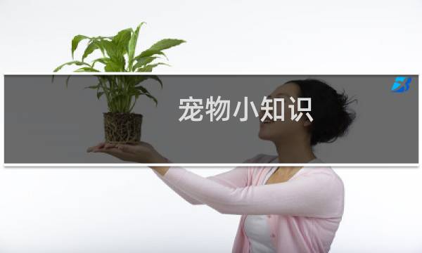 宠物小知识
