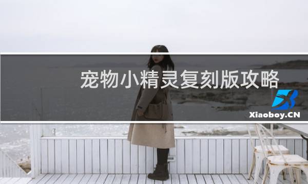 宠物小精灵复刻版攻略