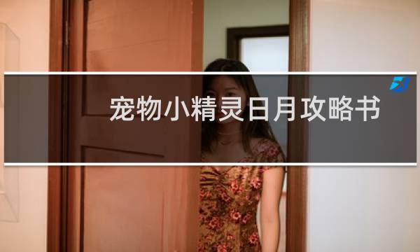 宠物小精灵日月攻略书