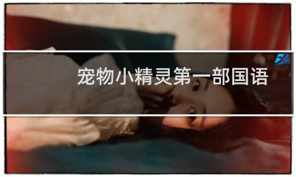 宠物小精灵第一部国语