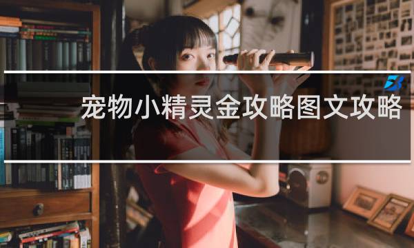 宠物小精灵金攻略图文攻略