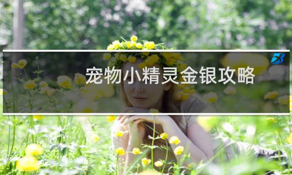 宠物小精灵金银攻略