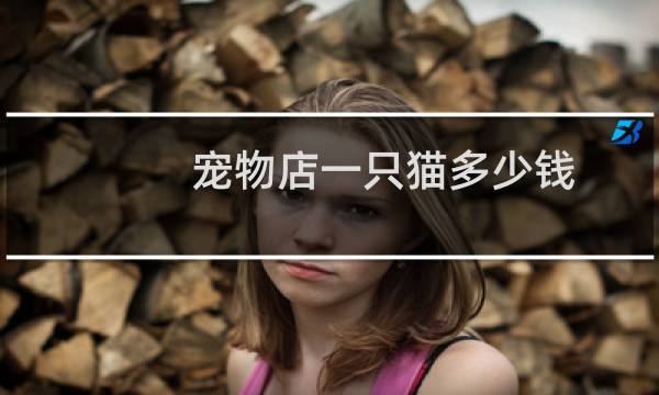 宠物店一只猫多少钱