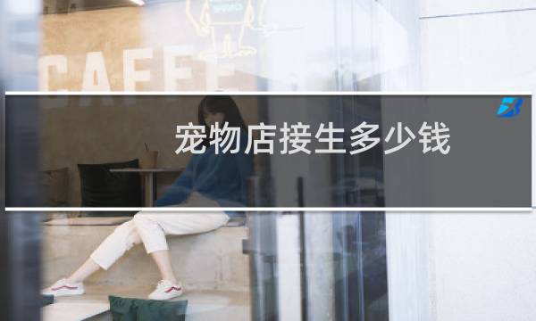 宠物店接生多少钱