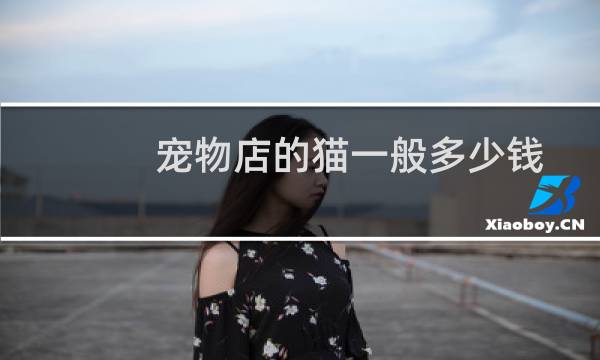 宠物店的猫一般多少钱