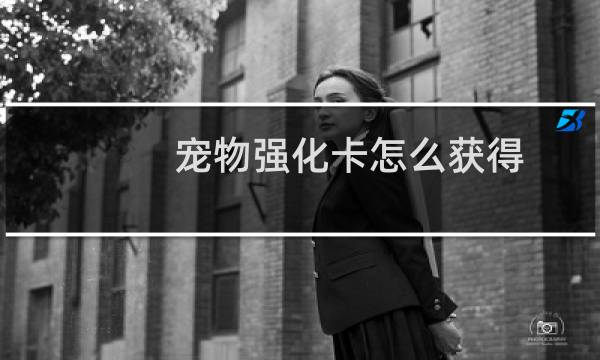 宠物强化卡怎么获得