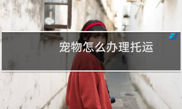 宠物怎么办理托运