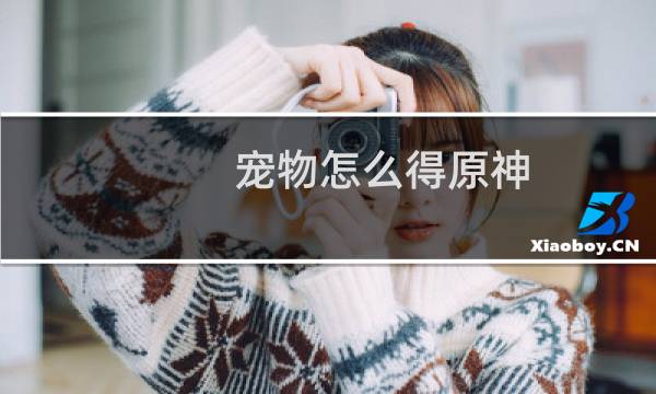 宠物怎么得原神