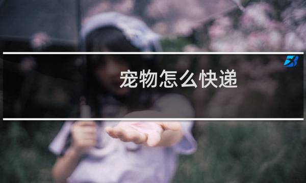 宠物怎么快递