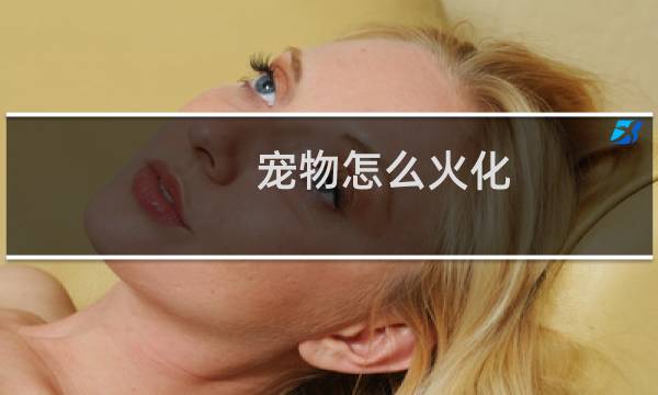 宠物怎么火化