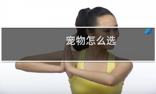 宠物怎么选