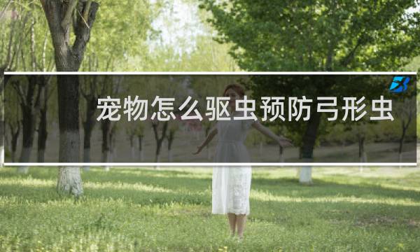 宠物怎么驱虫预防弓形虫