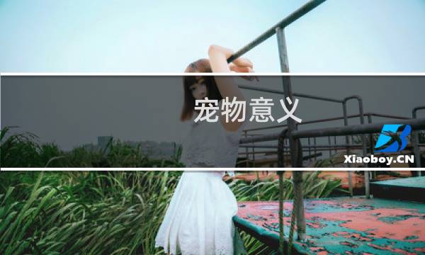 宠物意义