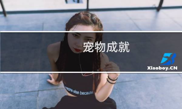 宠物成就