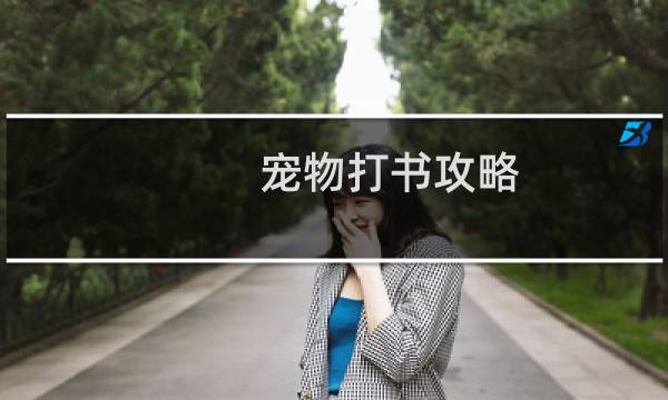 宠物打书攻略