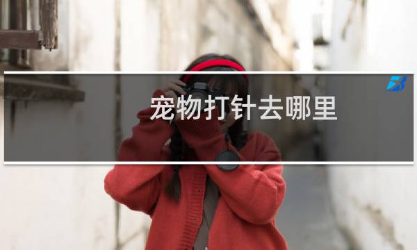 宠物打针去哪里